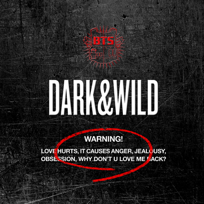 防弹少年团BTS  - 正规1辑 [DARK & WILD]